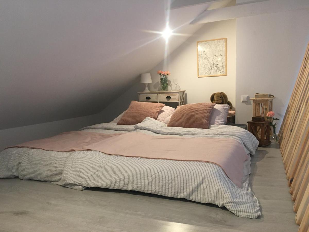 Apartament Z Antresola Okszow 외부 사진